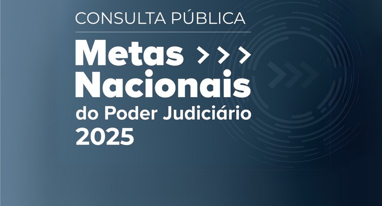 #PraTodosVerem: Card retangular com fundo azul e na parte central as informações: Consulta Públi...